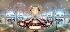 Cruise ship image