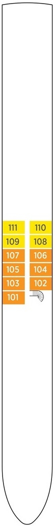 deck plan 2134